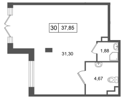К. пом № НП30 Корп.: 4.1 , Секция 12  в ЖК Дворцовый фасад
