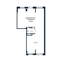 К. пом № 5/01/01 Корп.: 1.1 , Секция 5  в ЖК Полис Новоселье